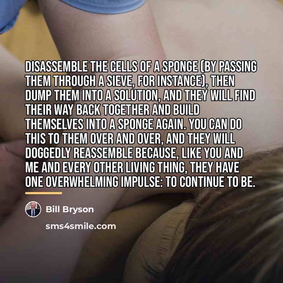 “Disassemble the cells of a sponge (by passing them through…” quote by Bill Bryson
