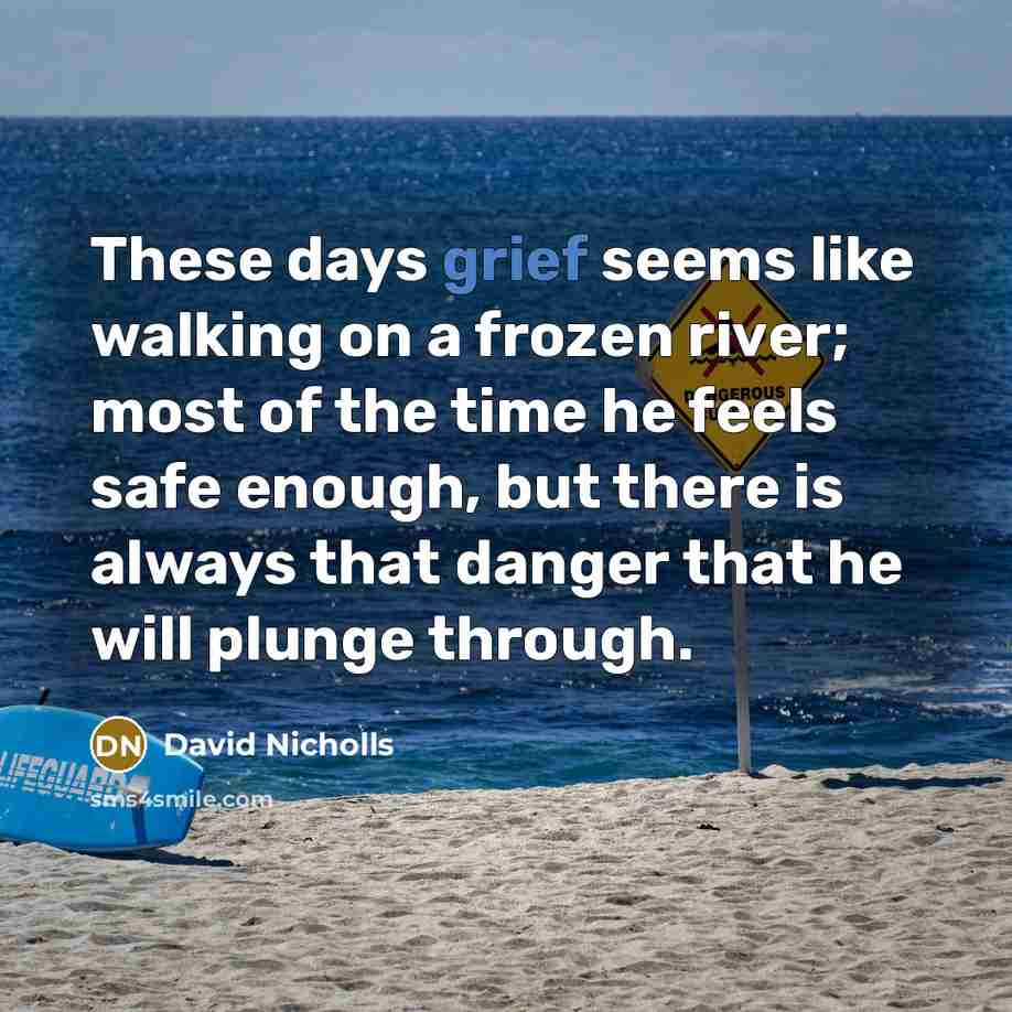 “These days grief seems like walking on a frozen river;…” quote by David Nicholls