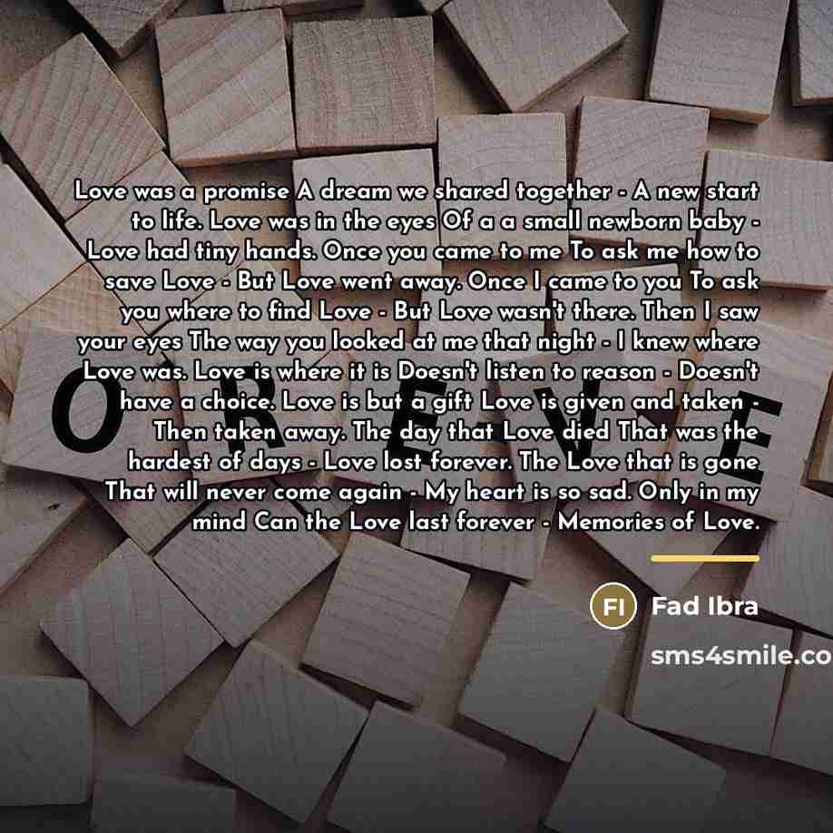 “Love was a promise A dream we shared together -…” quote by Fad Ibra