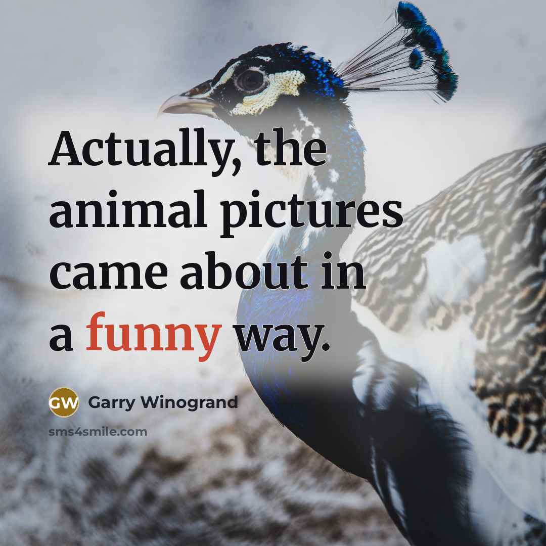 “Actually, the animal pictures came about in a funny way.…” quote by Garry Winogrand