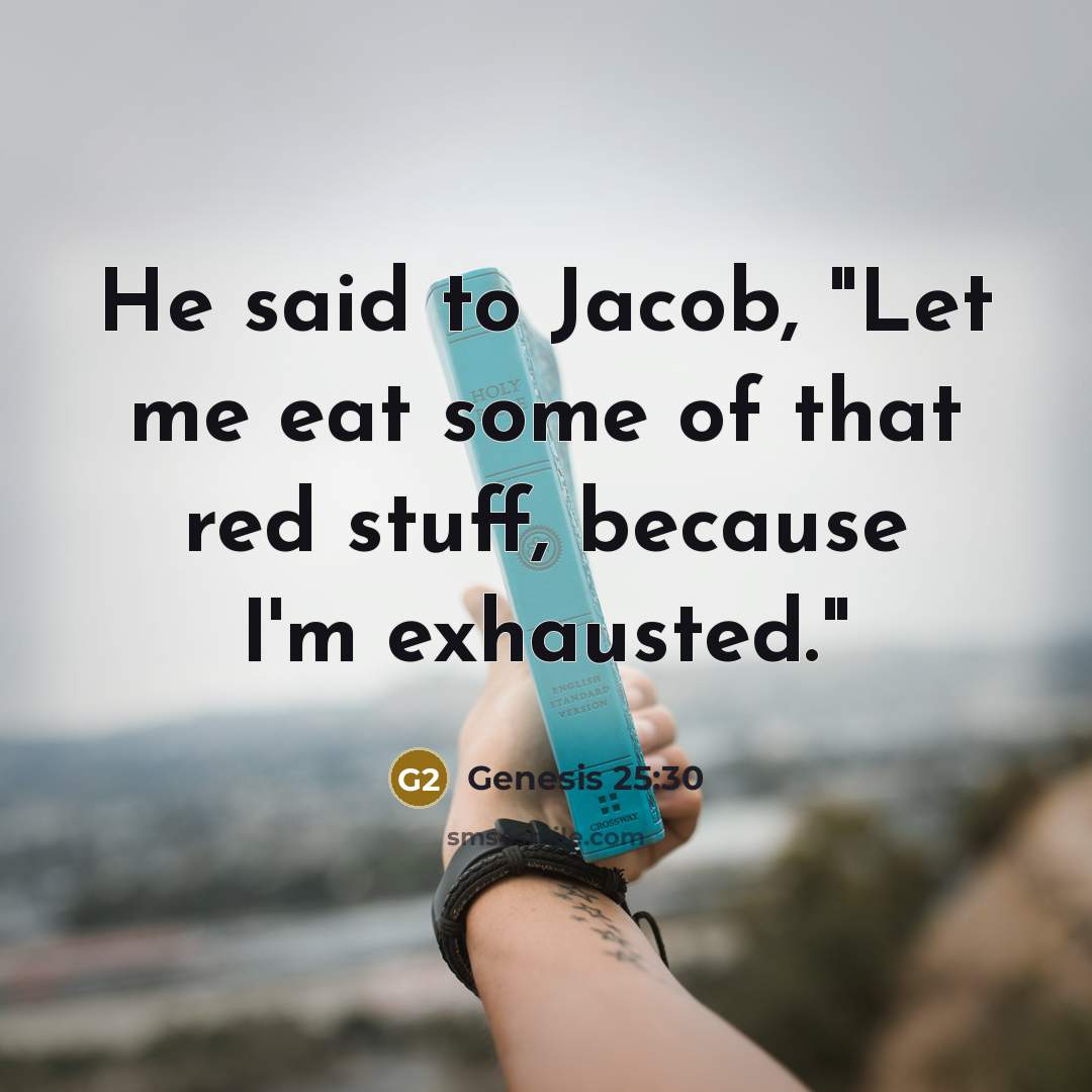 “He said to Jacob, "Let me eat some of that red stuff, because I'm exhausted."” quote by Genesis 25:30