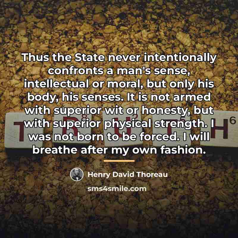“Thus the State never intentionally confronts a man's sense, intellectual…” quote by Henry David Thoreau