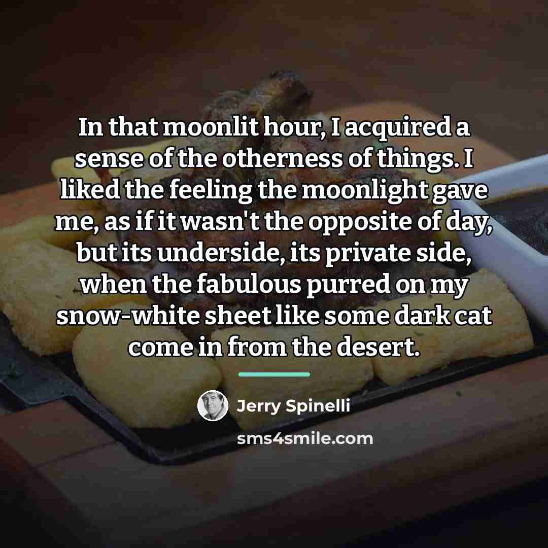 “In that moonlit hour, I acquired a sense of the…” quote by Jerry Spinelli