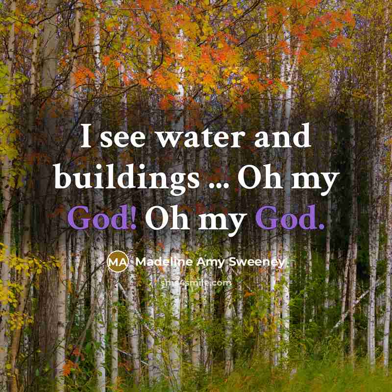 “I see water and buildings ... Oh my God! Oh my God.” quote by Madeline Amy Sweeney