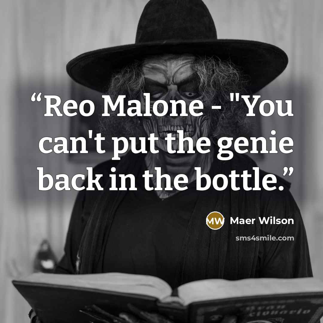 “Reo Malone - "You can't put the genie back in the bottle.” quote by Maer Wilson