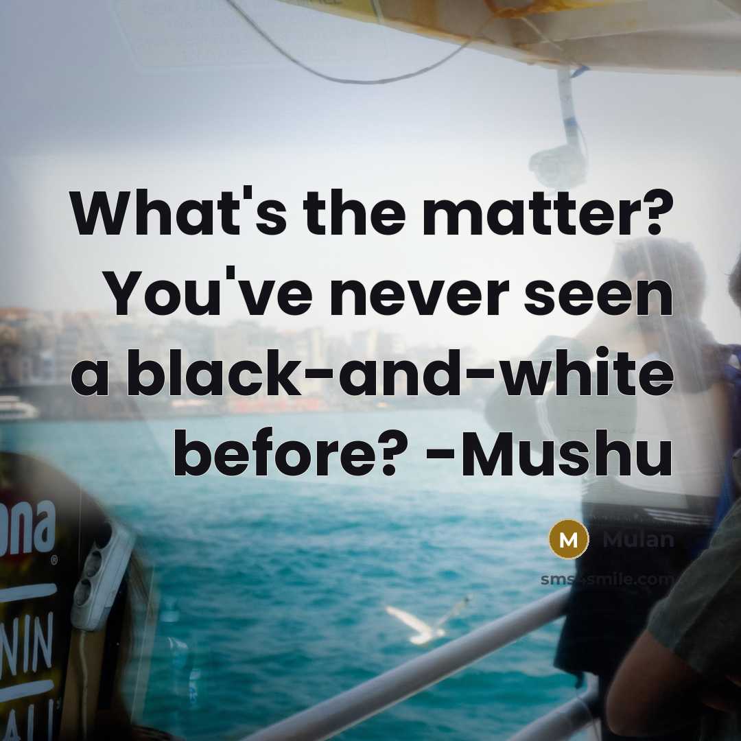 “What's the matter? You've never seen a black-and-white before? -Mushu…” quote by Mulan