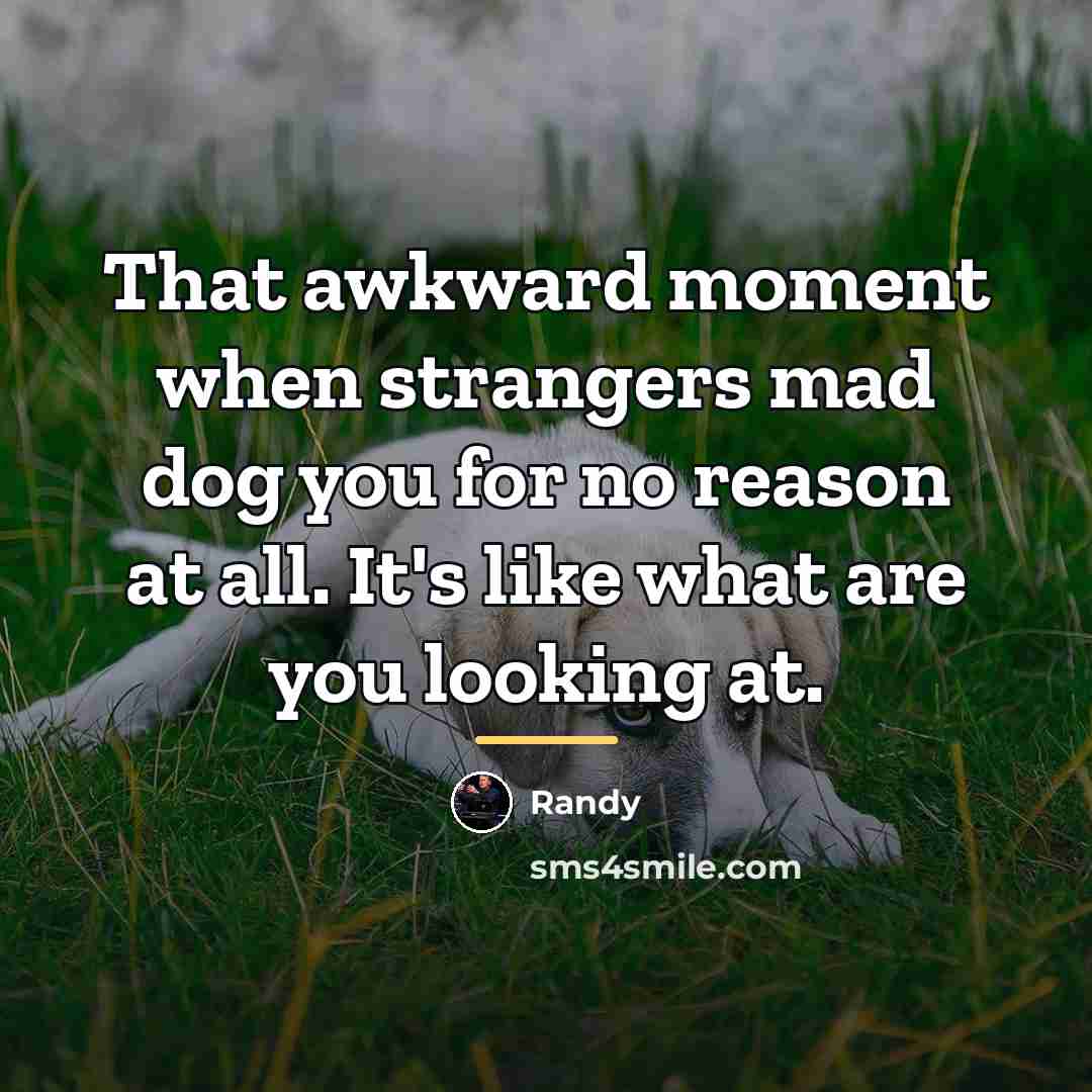 “That awkward moment when strangers mad dog you for no…” quote by Randy