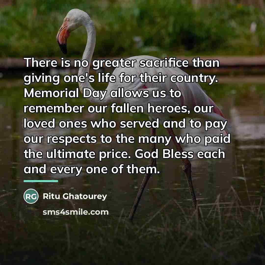 “There is no greater sacrifice than giving one's life for…” quote by Ritu Ghatourey