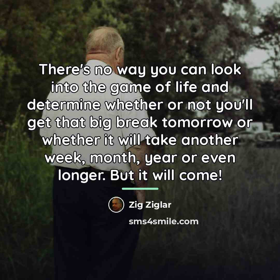 “There's no way you can look into the game of…” quote by Zig Ziglar