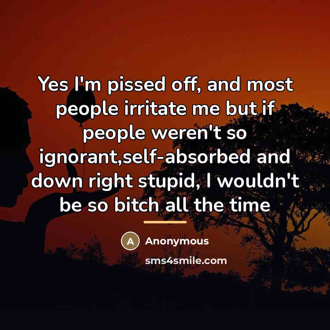 “Yes I'm pissed off, and most people irritate me but…” quote by Devon