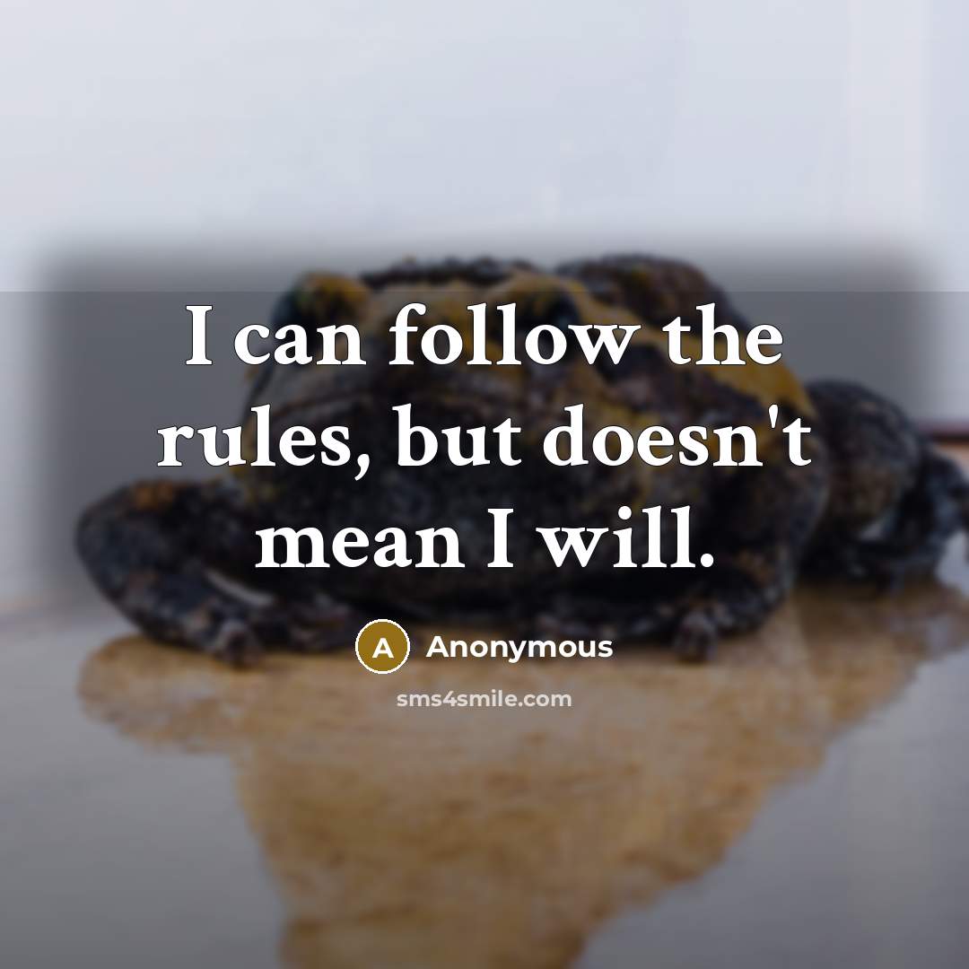 “I can follow the rules, but doesn't mean I will.” quote by Anonymous