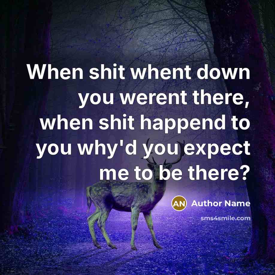 “When shit whent down you werent there, when shit happend to you why'd you expect me to be there?” quote by Author Name