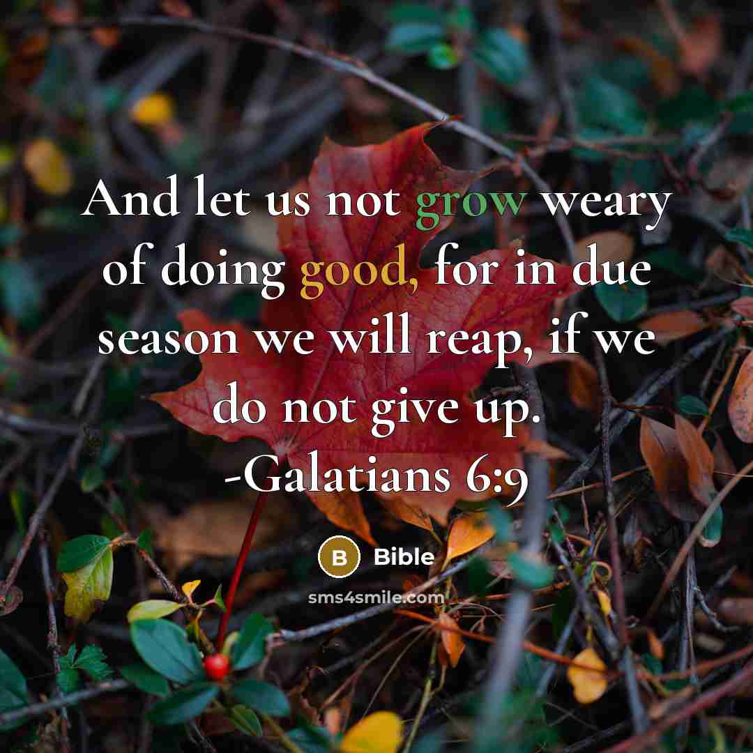 “And let us not grow weary of doing good, for…” quote by Bible
