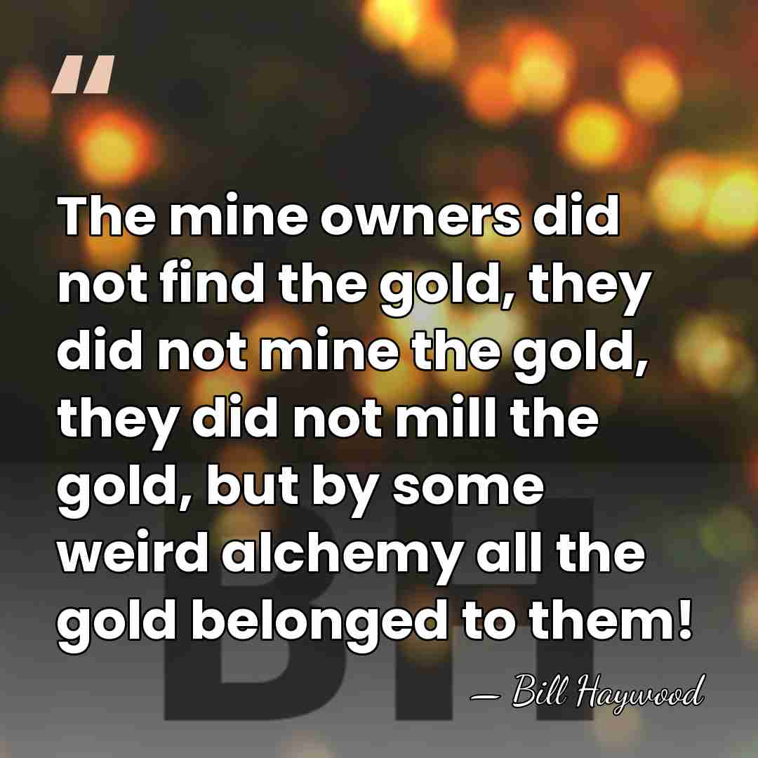 The mine owners did not find the gold, they did not mine&hellip; - Bill Haywood