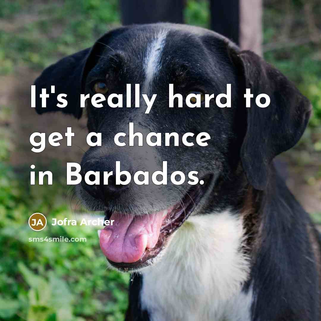 “It's really hard to get a chance in Barbados.…” quote by Jofra Archer