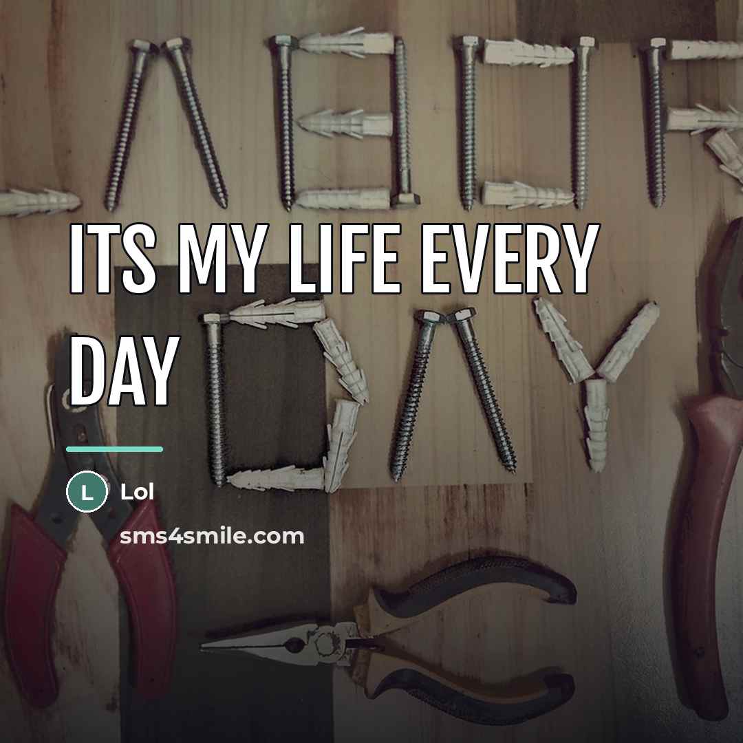 “Its my life every day…” quote by Lol