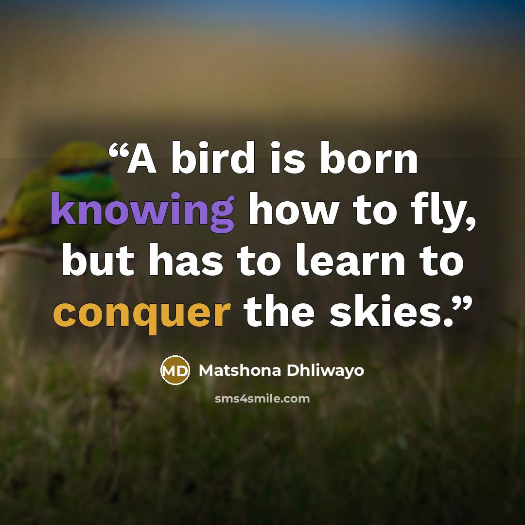 “A bird is born knowing how to fly, but has to learn to conquer the skies.” quote by Matshona Dhliwayo