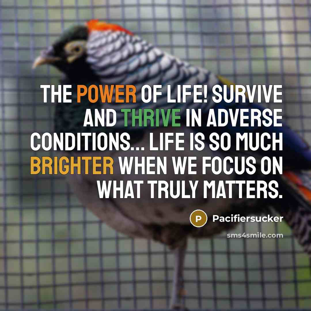 “The Power Of LIFE! Survive and Thrive In Adverse Conditions...…” quote by Pacifiersucker