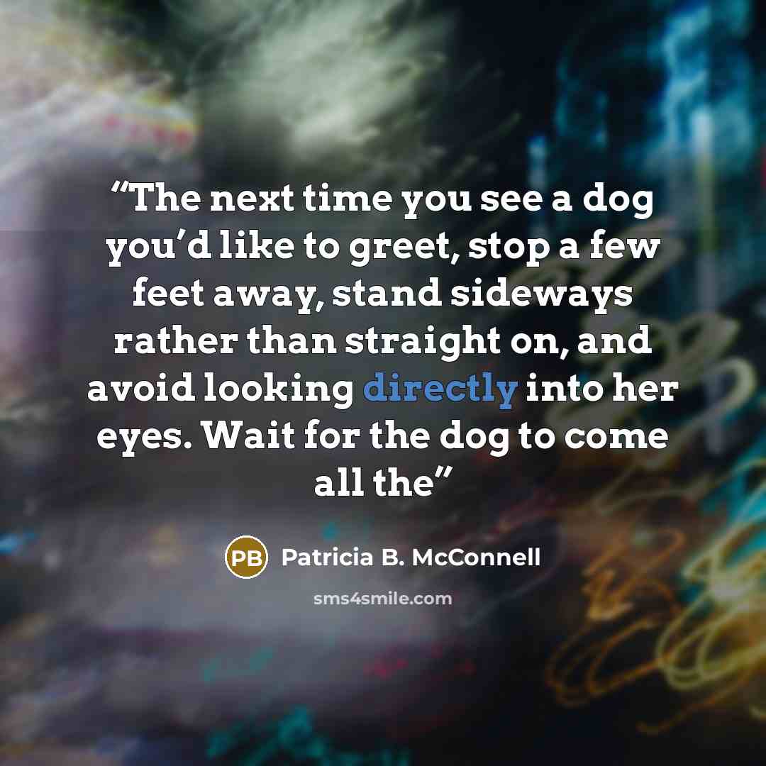 “The next time you see a dog you’d like to greet, stop a few feet away, stand sideways rather than straight on, and avoid looking directly into her eyes. Wait for the dog to come all the” quote by Patricia B. McConnell