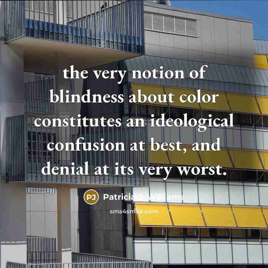 “the very notion of blindness about color constitutes an ideological…” quote by Patricia J. Williams