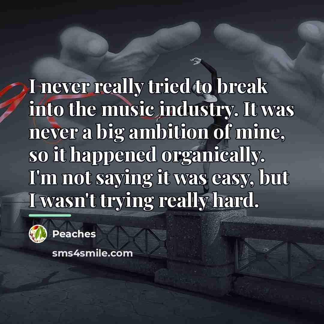 “I never really tried to break into the music industry.…” quote by Peaches
