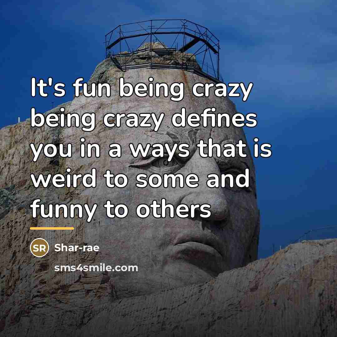 “It's fun being crazy being crazy defines you in a…” quote by Shar-rae