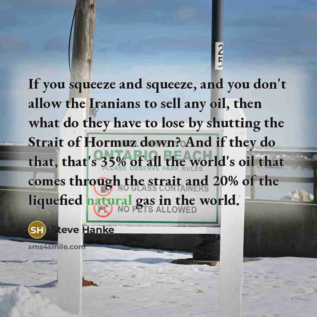 “If you squeeze and squeeze, and you don't allow the…” quote by Steve Hanke
