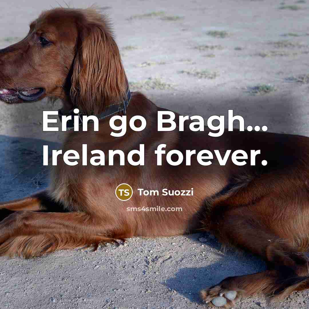 “Erin go Bragh... Ireland forever.” quote by Tom Suozzi