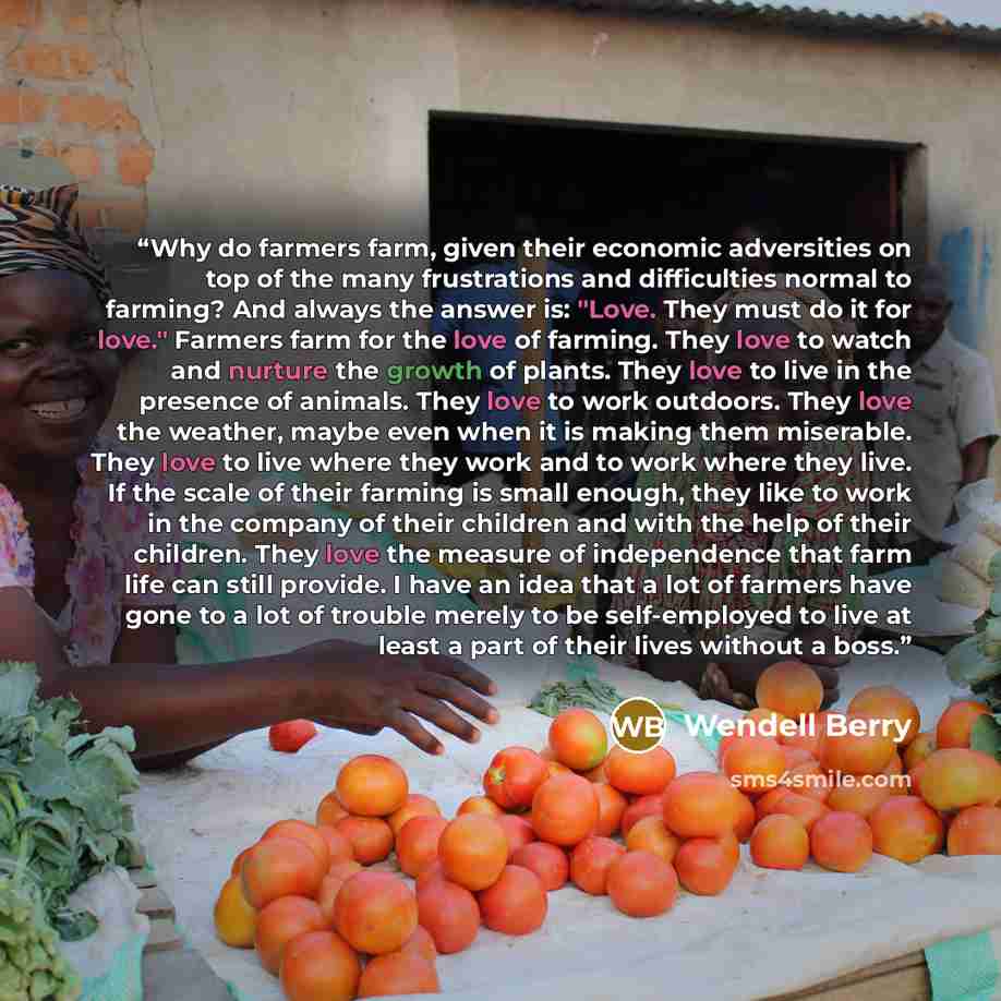 “Why do farmers farm, given their economic adversities on top of the many frustrations and difficulties normal to farming? And always the answer is: "Love. They must do it for love." Farmers farm for the love of farming. They love to watch and nurture the growth of plants. They love to live in the…” quote by Wendell Berry