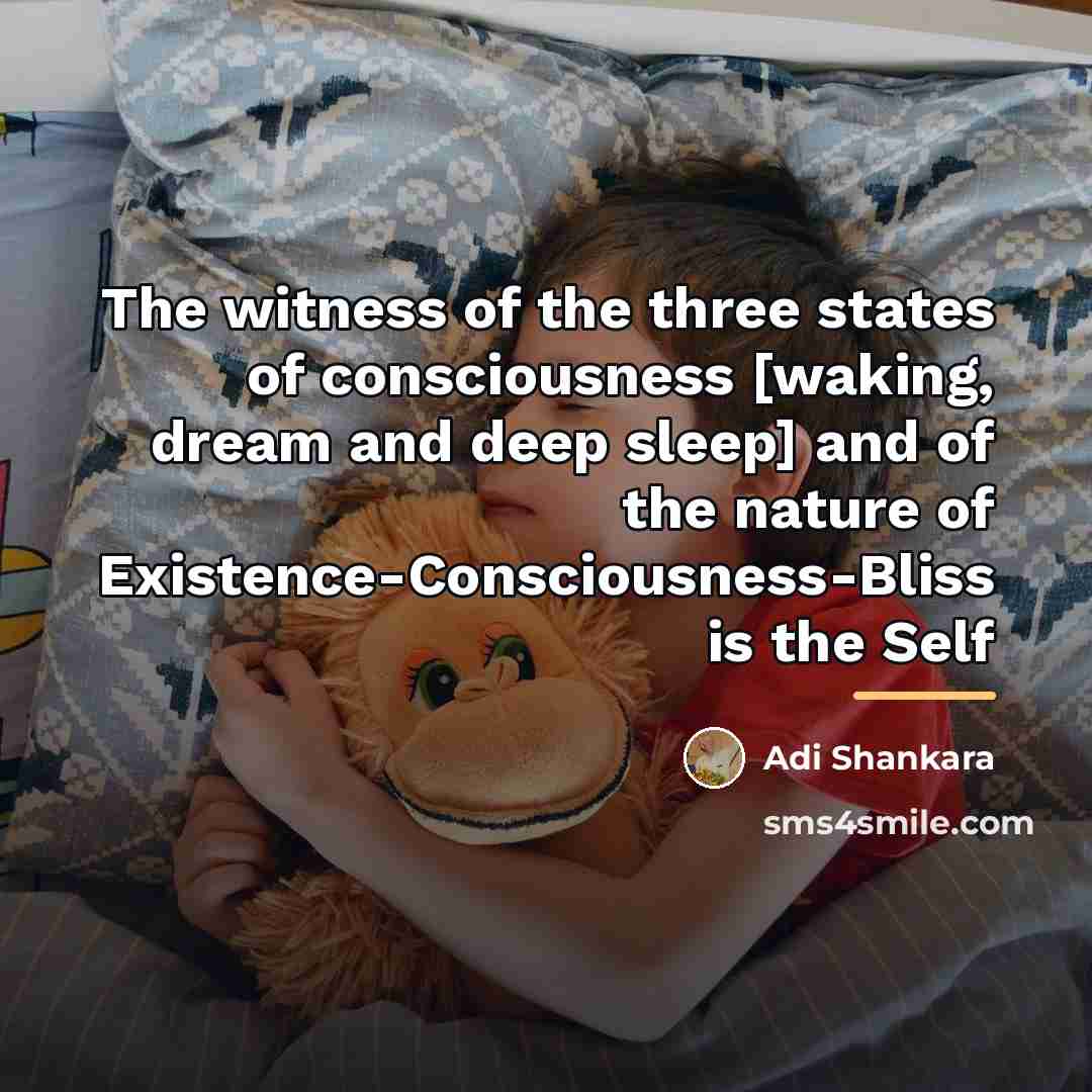 “The witness of the three states of consciousness [waking, dream…” quote by Adi Shankara