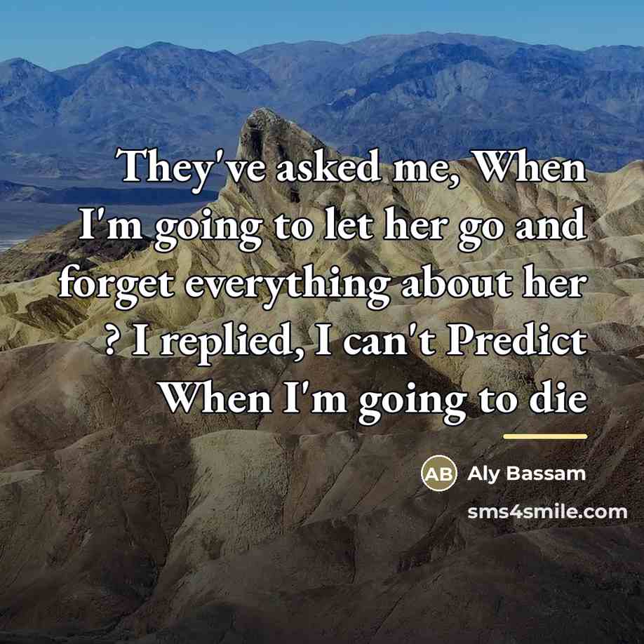 “They've asked me, When I'm going to let her go…” quote by Aly Bassam