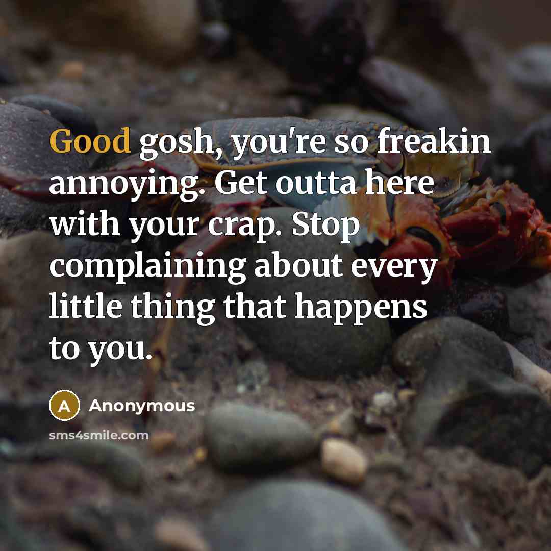“Good gosh, you're so freakin annoying. Get outta here with your crap. Stop complaining about every little thing that happens to you.” quote by Anonymous