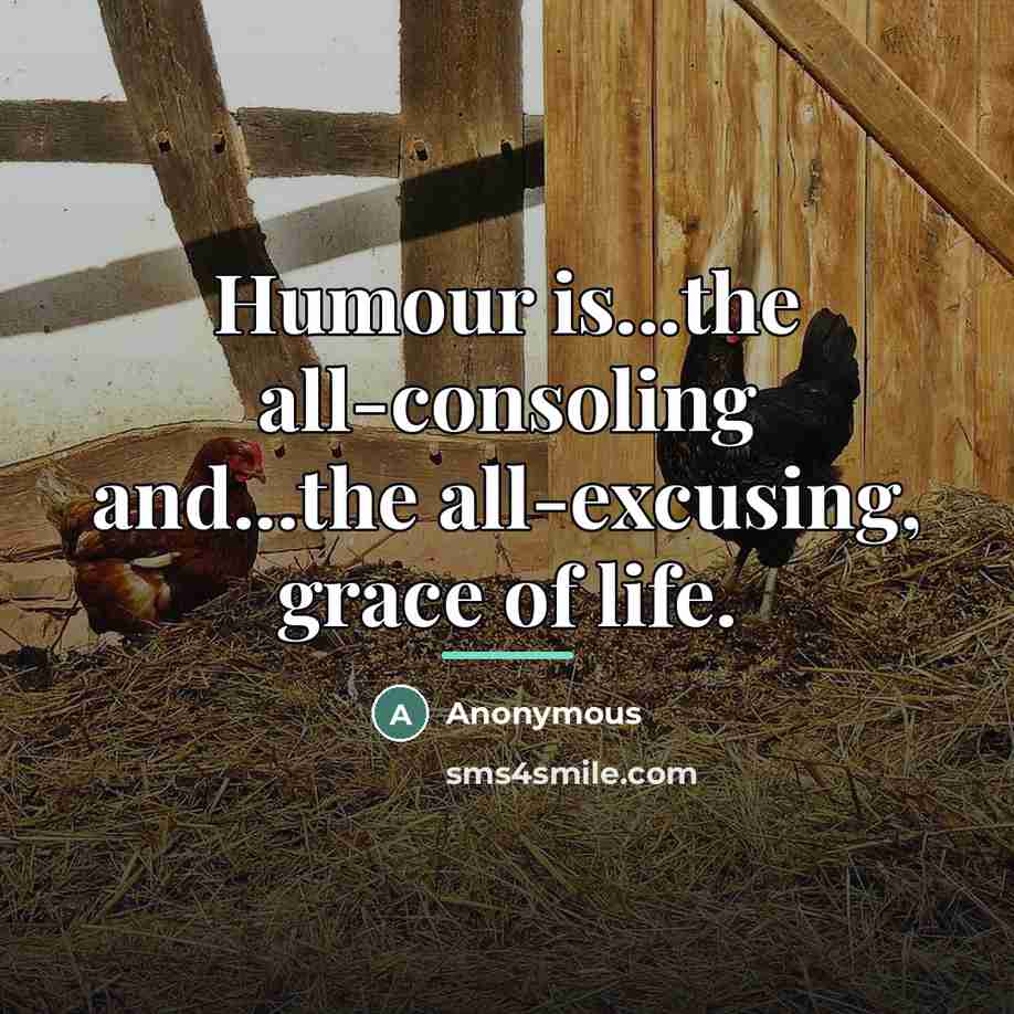 “Humour is...the all-consoling and...the all-excusing, grace of life.…” quote by Anonymous