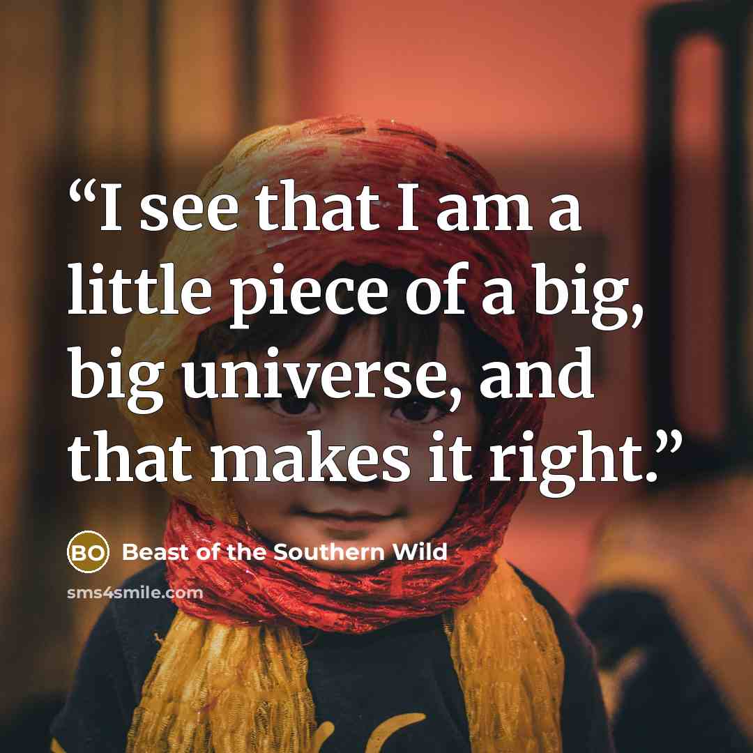 “I see that I am a little piece of a big, big universe, and that makes it right.” quote by Beast of the Southern Wild