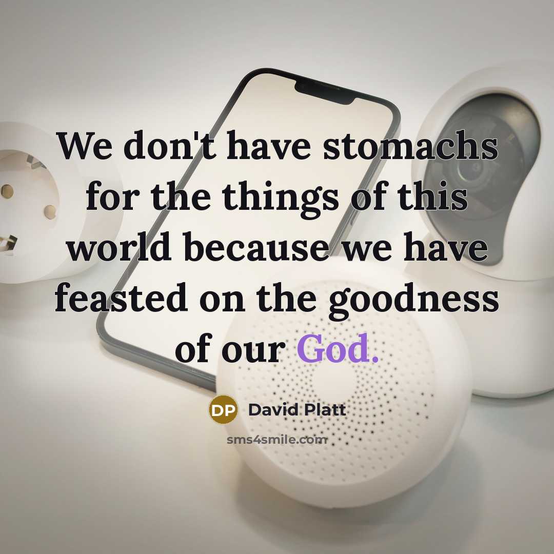 “We don't have stomachs for the things of this world…” quote by David Platt