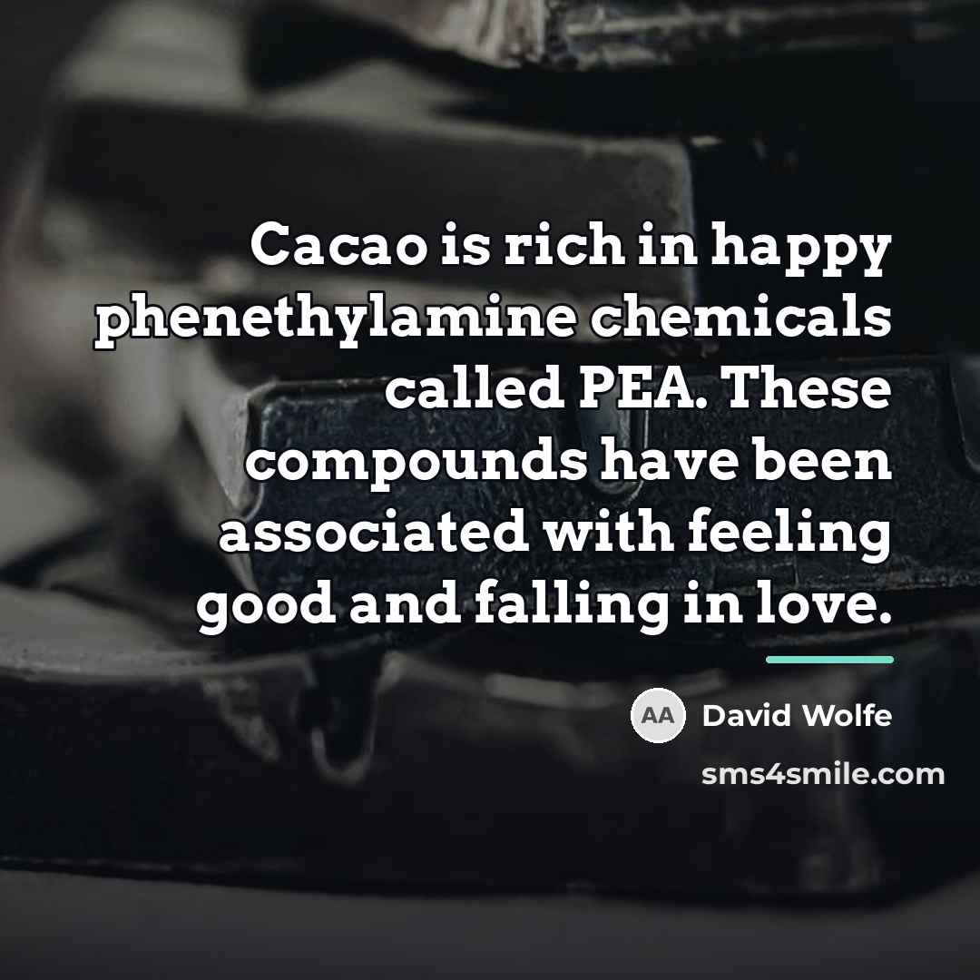 “Cacao is rich in happy phenethylamine chemicals called PEA. These…” quote by David Wolfe