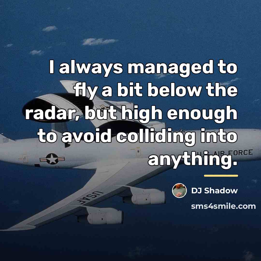 “I always managed to fly a bit below the radar,…” quote by DJ Shadow