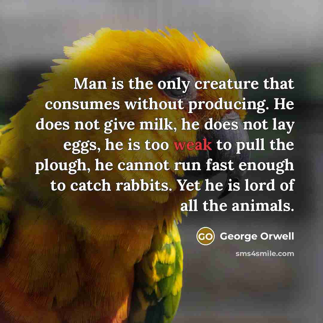 “Man is the only creature that consumes without producing. He…” quote by George Orwell