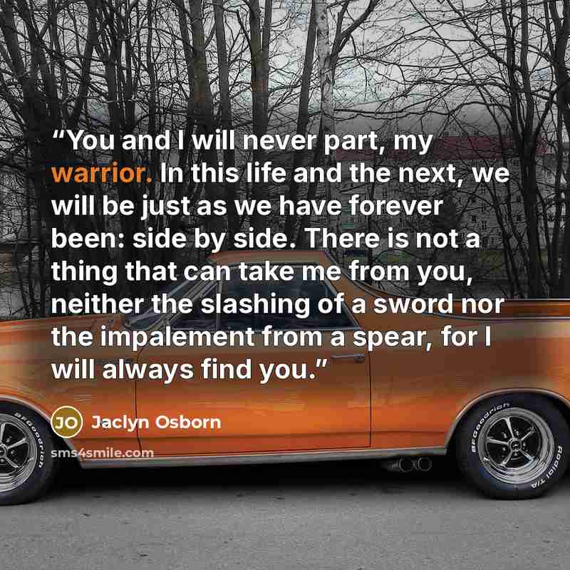 “You and I will never part, my warrior. In this life and the next, we will be just as we have forever been: side by side. There is not a thing that can take me from you, neither the slashing of a sword nor the impalement from a spear, for I will always find you.” quote by Jaclyn Osborn