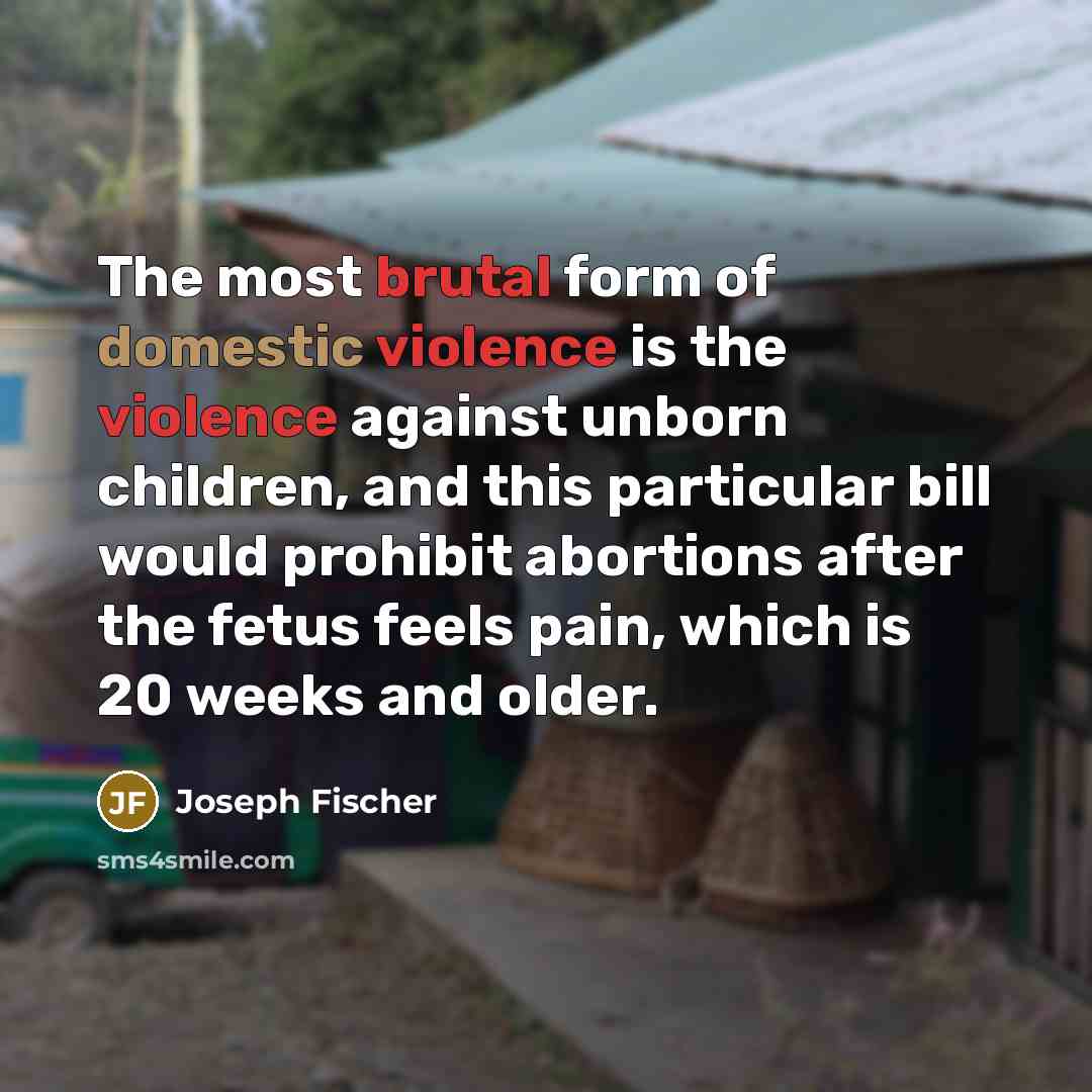 “The most brutal form of domestic violence is the violence…” quote by Joseph Fischer