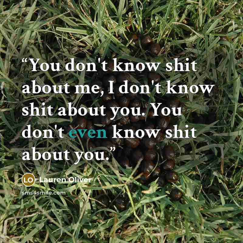“You don't know shit about me, I don't know shit about you. You don't even know shit about you.” quote by Lauren Oliver