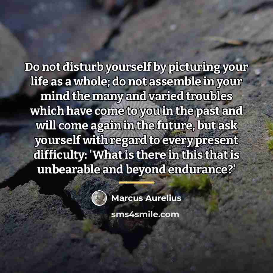 “Do not disturb yourself by picturing your life as a…” quote by Marcus Aurelius