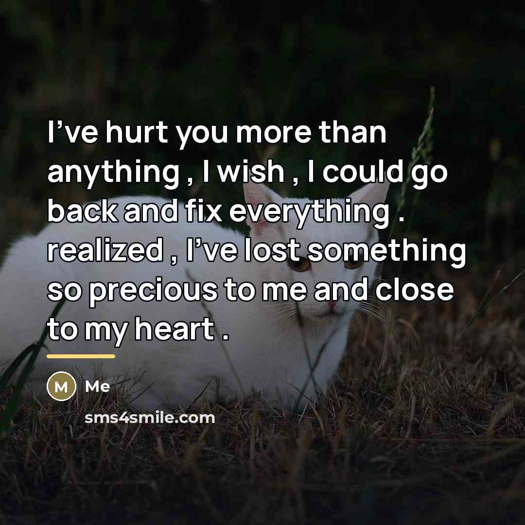 “I've hurt you more than anything , I wish ,…” quote by Me