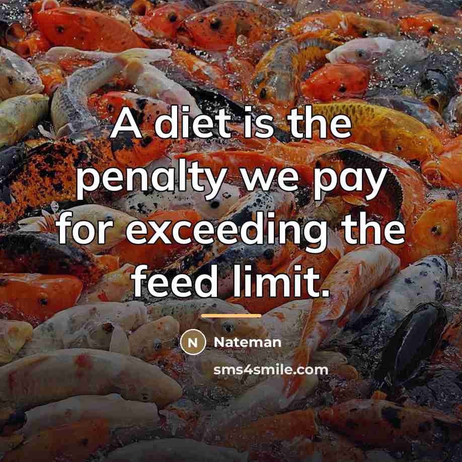 “A diet is the penalty we pay for exceeding the…” quote by Nateman