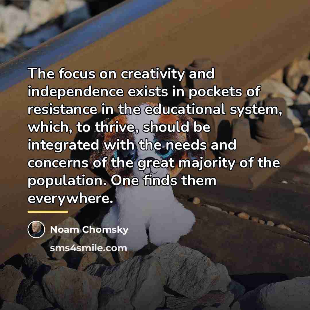 “The focus on creativity and independence exists in pockets of…” quote by Noam Chomsky