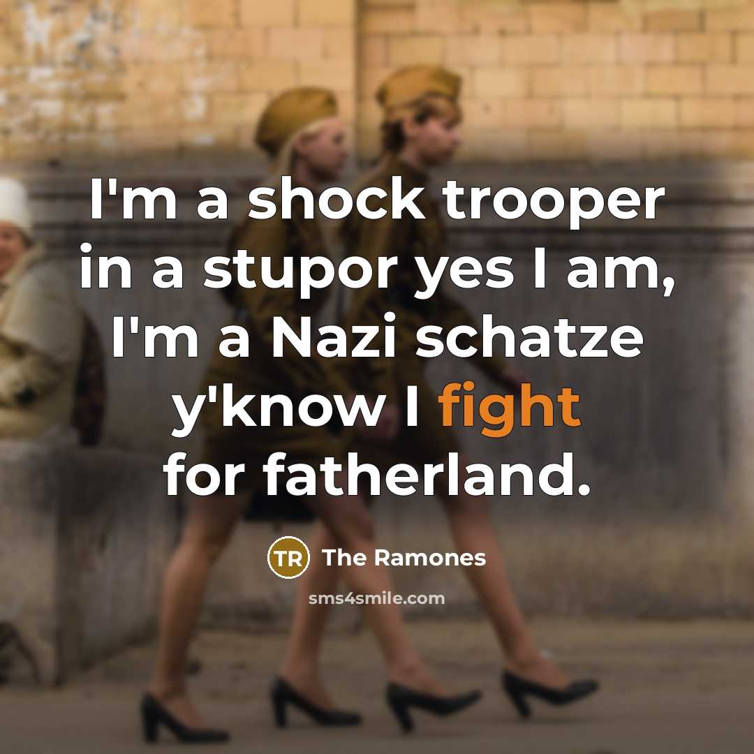 “I'm a shock trooper in a stupor yes I am,…” quote by The Ramones