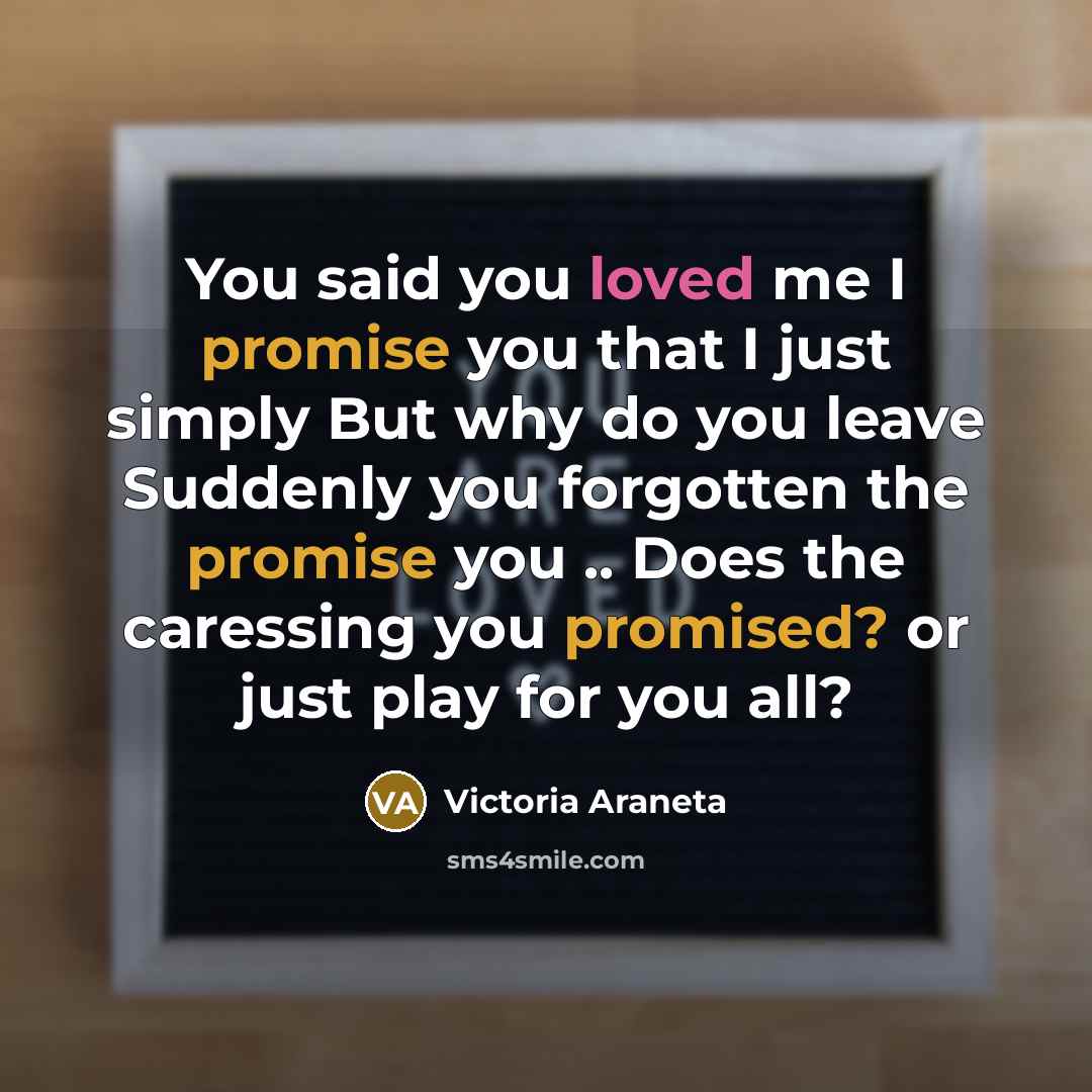 “You said you loved me I promise you that I just simply But why do you leave Suddenly you forgotten the promise you .. Does the caressing you promised? or just play for you all?” quote by Victoria Araneta