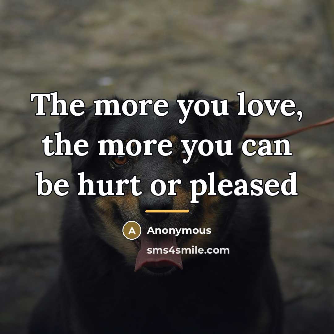 “The more you love, the more you can be hurt…” quote by Anonymous