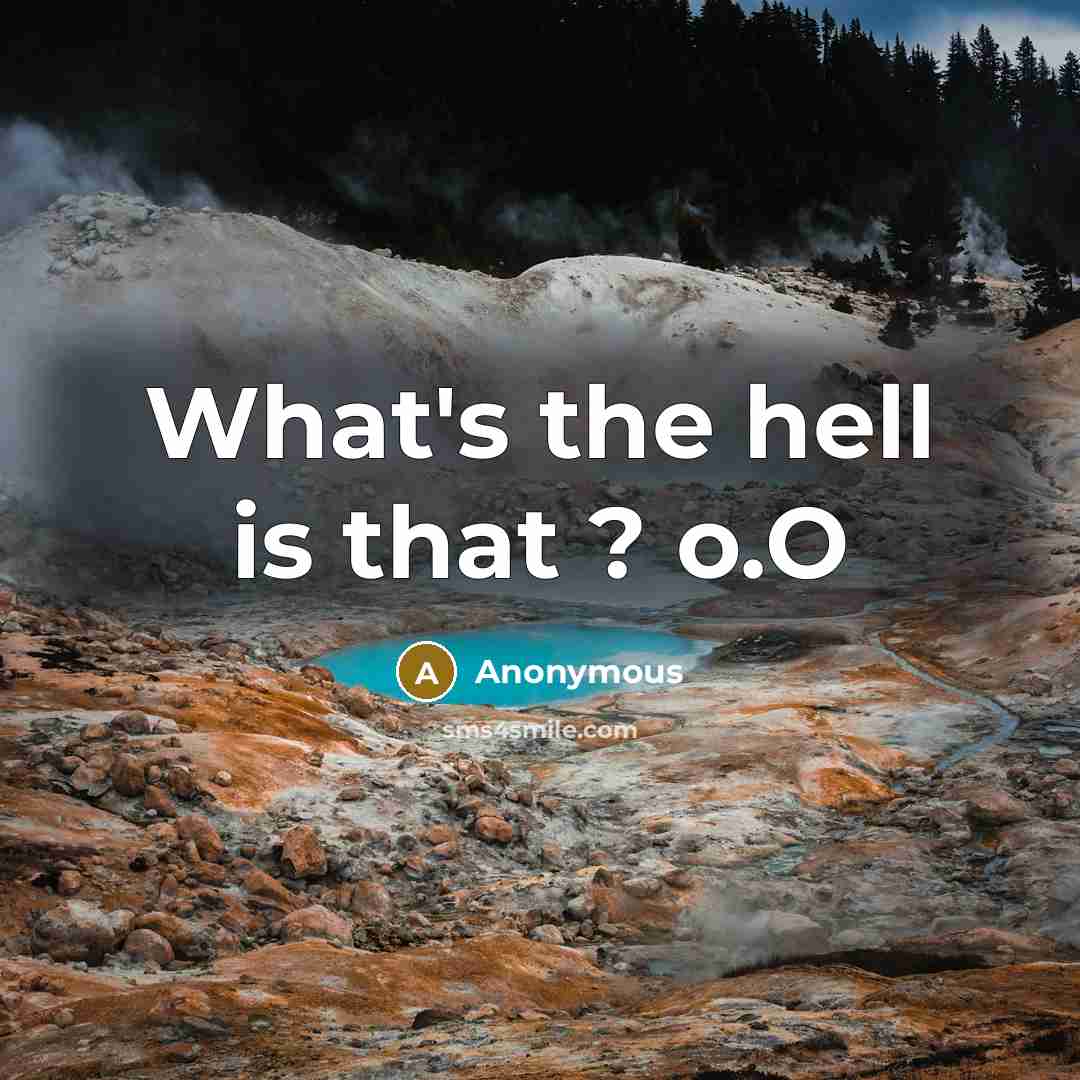 “What's the hell is that ? o.O” quote by Anonymous