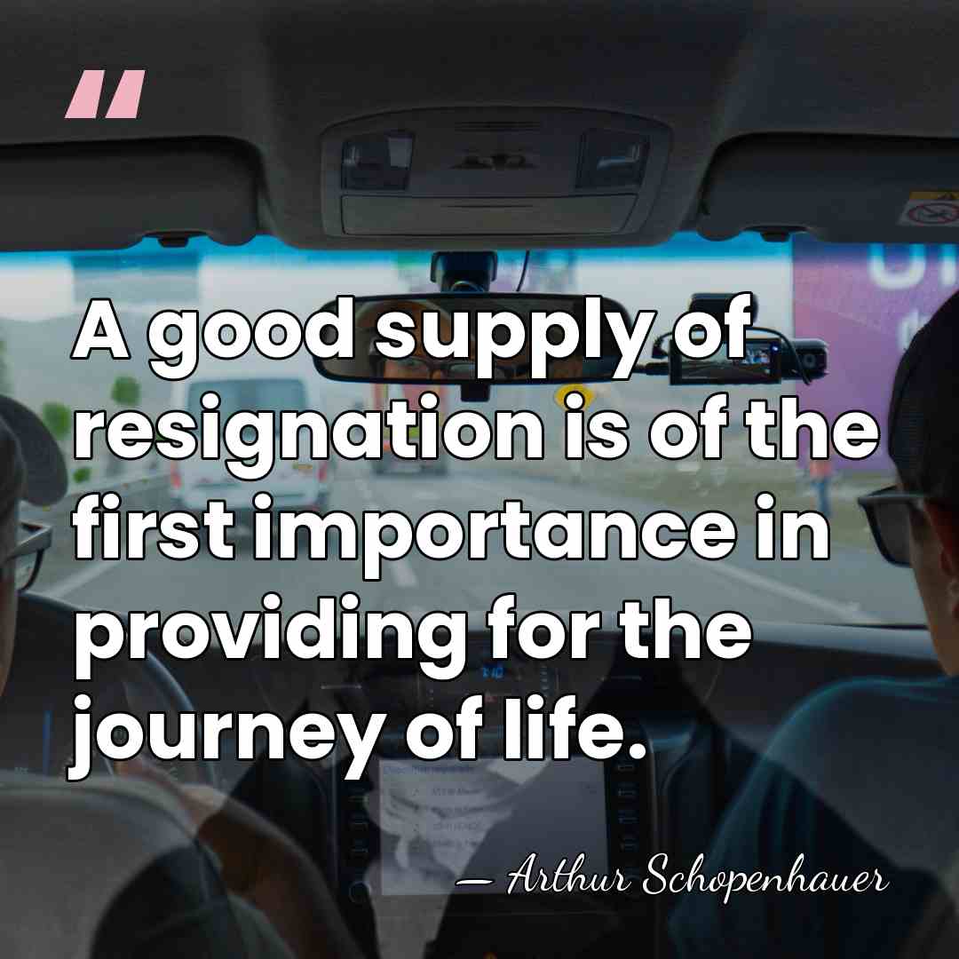 A good supply of resignation is of the first importance in providing&hellip; - Arthur Schopenhauer
